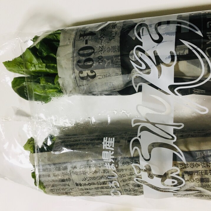 手抜き！葉物野菜の保存法（1週間は大丈夫！）